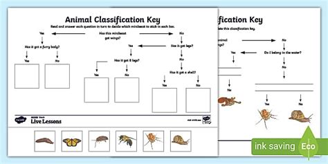 FREE! - Animal Classification Keys KS2 - Primary Resources - Twinkl