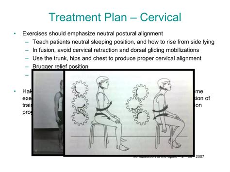 Laminectomy vs Discectomy in Rehabilitation | PPT