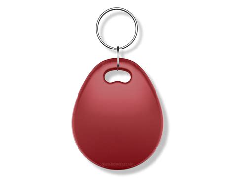 Traditional Key Fob Style Rfid Key Blank Clonemykey