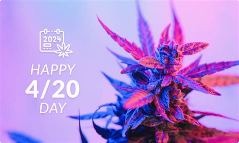 What Is The Idea Behind 420 Day And How Can You Make The Most Of This