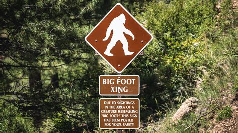 This AI bot will check for you if Bigfoot is real | TechRadar