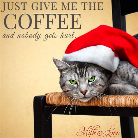 Funny Christmas Cat Memes - memestund