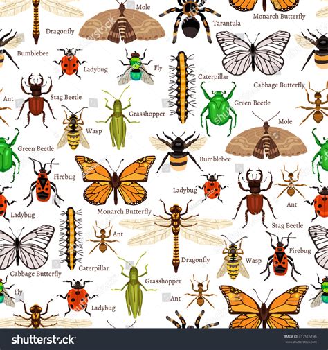 9,960 Types insects Images, Stock Photos & Vectors | Shutterstock