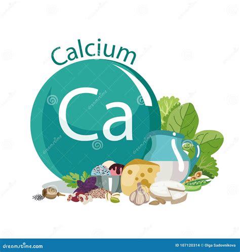 Calcium In Food. Products With The Maximum Content Of Microelements ...