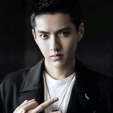 Pin by Alexandra Sági on EXO Kris Kris wu Wu yi fan Music artists