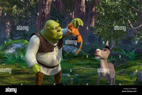 Donkey Shrek 2 Dinner