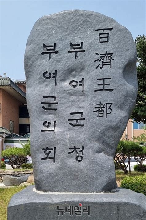 부여군 ‘2024년 스마트도시 솔루션 확산 사업 공모3개 분야 선정 Save Internet 뉴데일리