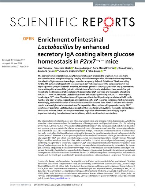 Pdf Enrichment Of Intestinal Lactobacillus By Enhanced Secretory Iga