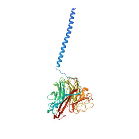 Rcsb Pdb 6crd Influenza Virus Neuraminidase Subtype N9 Tern With