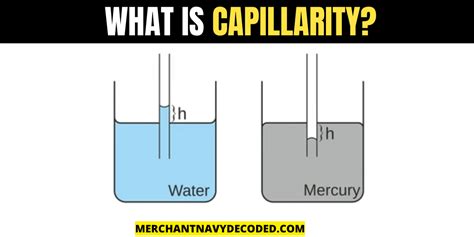 What is Capillarity? Used of capillarity effect - Merchant Navy Decoded