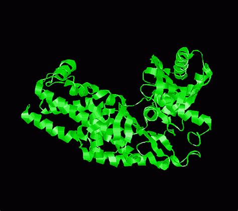 Hexokinase