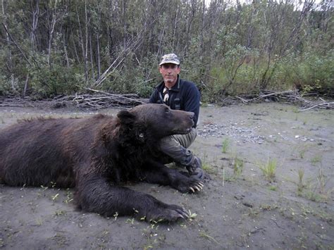 Alaska Bear Hunting Guides - Hidden Alaska Guides and Outfitters