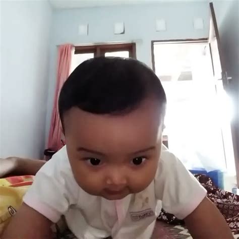 Bayi Lucu Youtube