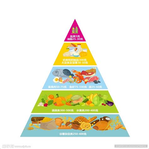 营养排列金字塔设计图 其他 广告设计 设计图库 昵图网
