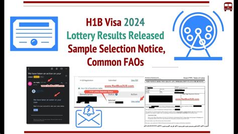 H1b 2024 Lottery Results Are Out Sample Selection Notice Faqs Youtube