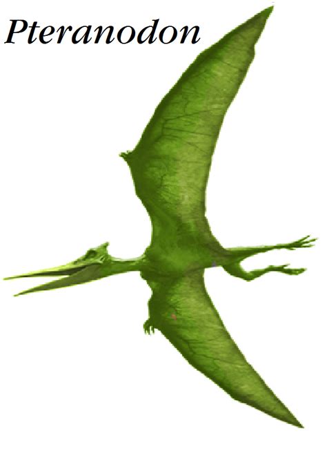 Dinosaur Train Pteranodon in real form by Vespisaurus on DeviantArt