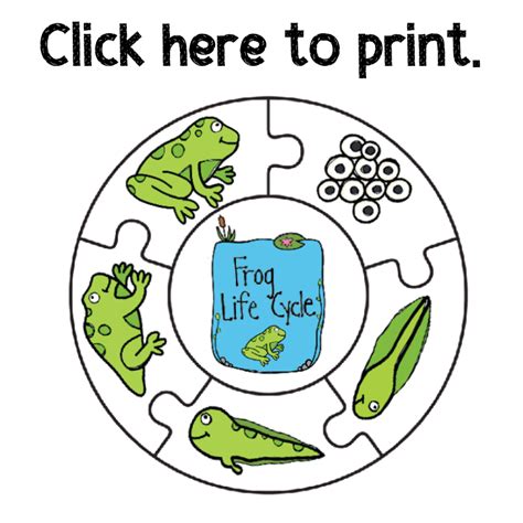 Printable Life Cycle Of A Frog Craft