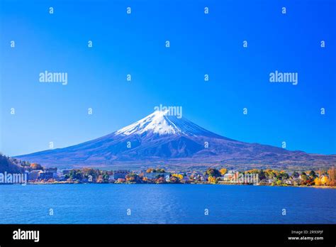 Autumn Leaves at Lake Kawaguchi Stock Photo - Alamy