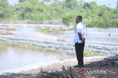 Pemkab Bulungan Mengembangkan Kebun Raya Tematik Dan Terintegrasi