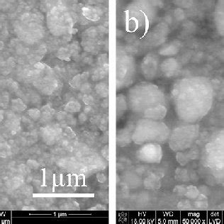 SEM Micrographs Of A 3 YSZ And B 8 YSZ Powders Obtained By