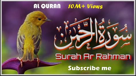 Hafiz Umar Farooq Youtube