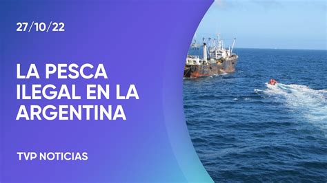 Aseguran Que La Pesca Ilegal En El Mar Argentino Genera P Rdidas De