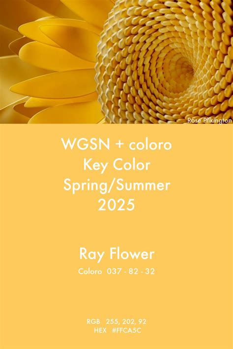 Key Color S/S 2025 Ray Flower - WGSN+coloro | Color, Design color ...