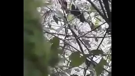 Cogiendo En El Rio Search XVIDEOS