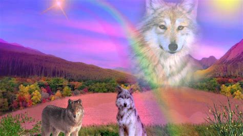 Rainbow Wolf Hd Desktop Wallpaper Widescreen High Definition