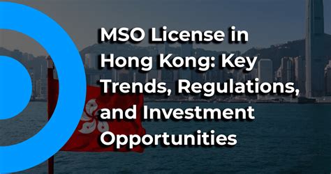 Essential Guide To Mso License In Hong Kong For