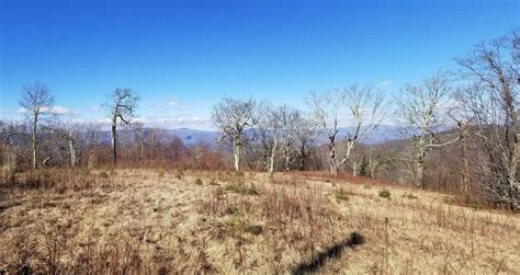 Nc High Elevation Land 5200′ Ogle Meadows Special Finds Unique Homes