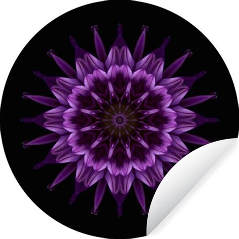 WallCircle Muurstickers Behangcirkel Mandala Paarse Dahlia