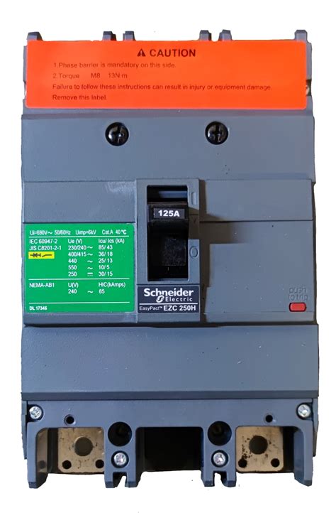 Schneider 125A 2 Pole Single Phase Breaker Industrial Circuit Breaker