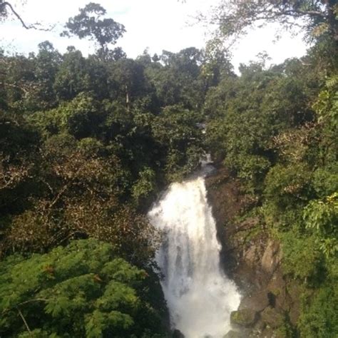 Kerala 1 Indian Car Desi Porn XHamster