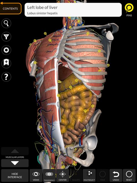 Anatomy 3d Atlas For Ios Iphoneipadipod Touch Free Download At