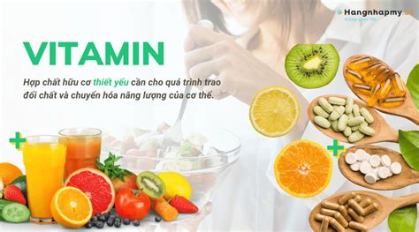 Vitamin là gì Bổ sung vitamin và khoáng chất như thế nào là hợp lý