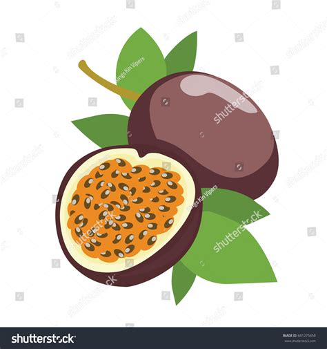 Colorful Cartoon Passion Fruit Icon Vector Vector De Stock Libre De