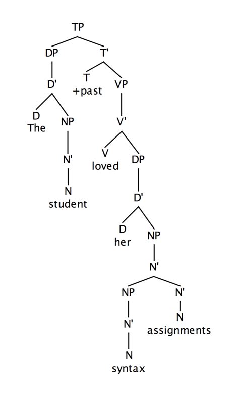 An Example Of A Syntactic Tree Diagram Adapted From Carnie 2013 Download Scientific Diagram