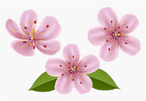 no flowerss - Clip Art Library