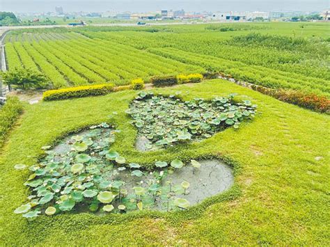 雙心池塘添浪漫 平和社區成亮點