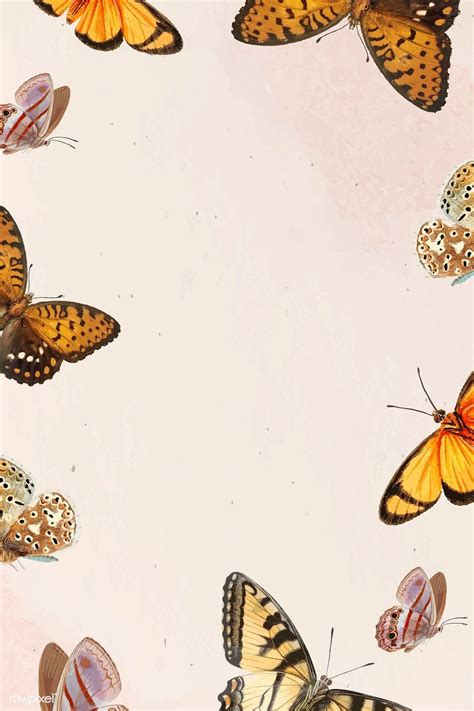 Vintage Butterfly Wallpapers - Top Free Vintage Butterfly Backgrounds - WallpaperAccess