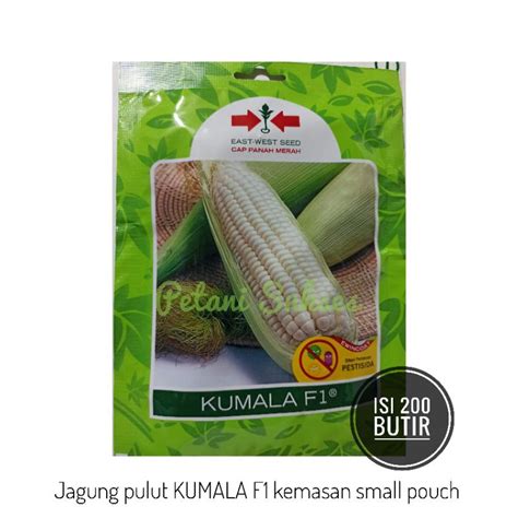 Jual 200 Butir Bibit Benih Sayuran Buah JAGUNG PULUT KETAN KUMALA F1