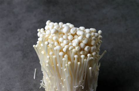 8,000+ Enokitake Mushroom Stock Photos, Pictures & Royalty-Free Images ...