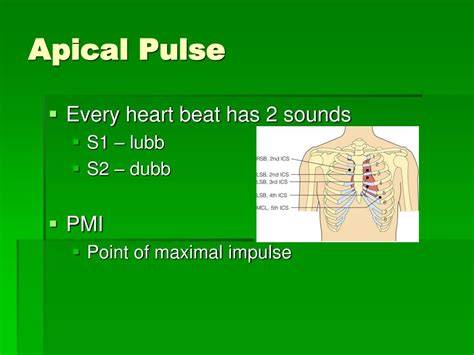 Ppt Vital Signs Powerpoint Presentation Free Download Id4226049