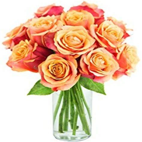 Fresh Orange Button Rose Flowers Shelf Life: 7-10 Days at Best Price in ...