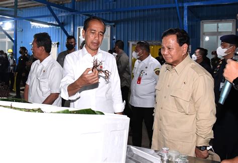 InfoPublik Presiden Jokowi Tinjau Unit Pengolahan Ikan Dan Budi Daya