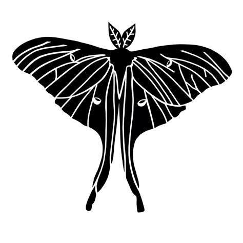 Luna Moth Vinyl Decal Sticker Etsy