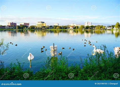 Sunset Landscape Of City Of Lakeland Stock Image Image Of Lakeland