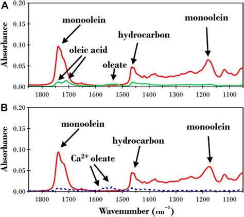 Frontiers The Influence Of Ph On The Lipase Digestion Of Nanosized