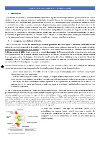 TEMA 6 PROBLEMAS AMBIENTALES INTERNACIONALES Pdf